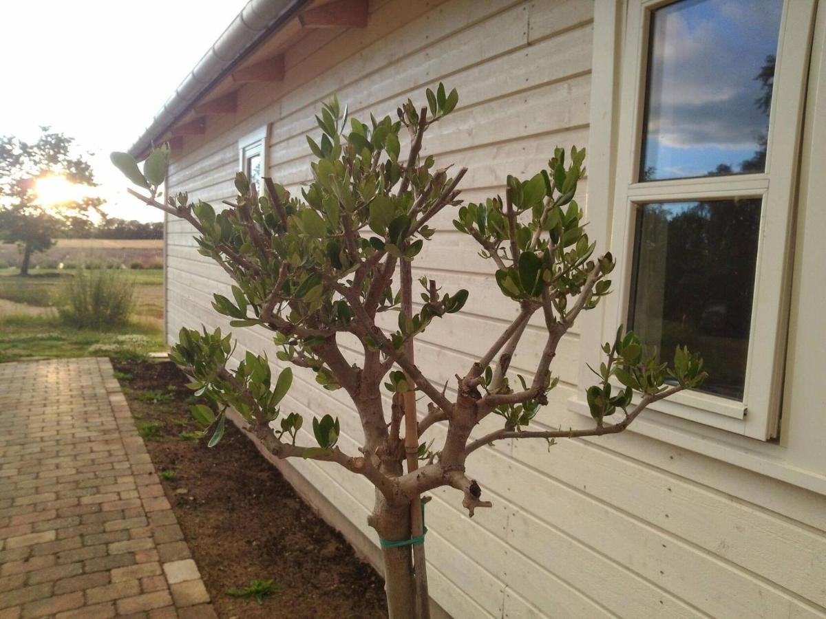 Lavendelbo B&B Hjallerup Bagian luar foto