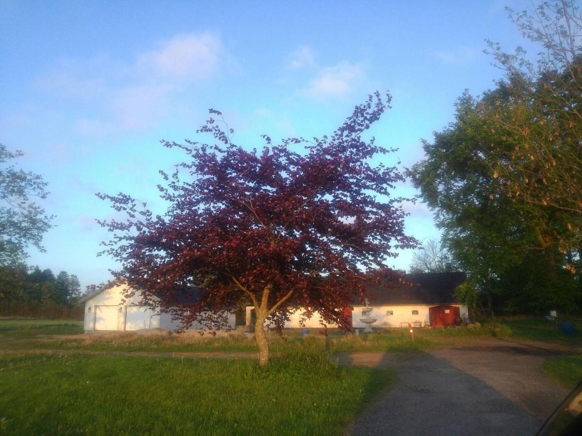 Lavendelbo B&B Hjallerup Bagian luar foto